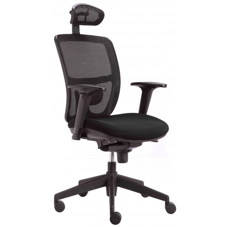 Norma Mesh Back Ergonomic Posture Chair